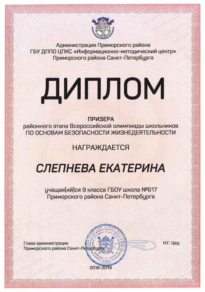 2018-2019 Слепнева Екатерина 9м (РО-ОБЖ)